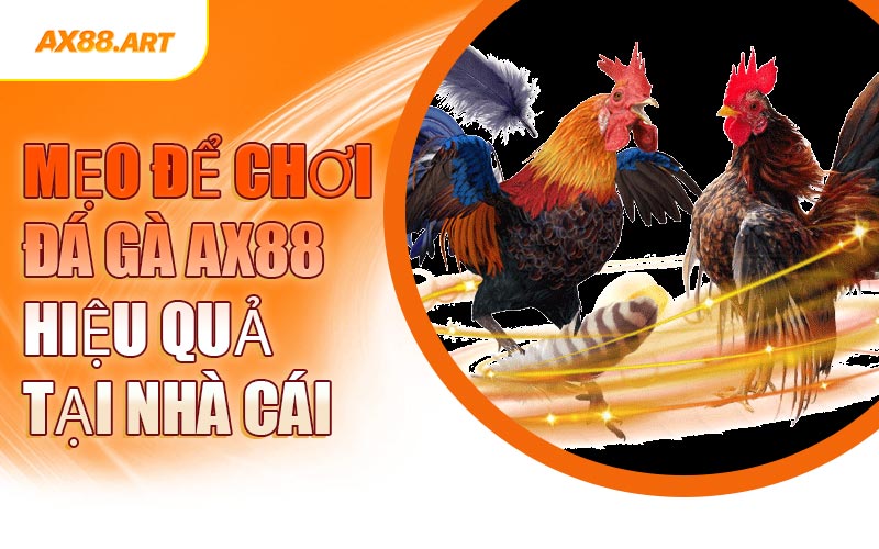 Mẹo Để Chơi Đá Gà AX88 Hiệu Quả Tại Nhà Cái
