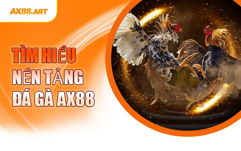 Tìm Hiểu Nền Tảng Đá Gà AX88