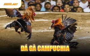 Đá Gà Campuchia