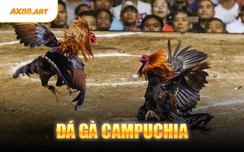 Đá Gà Campuchia