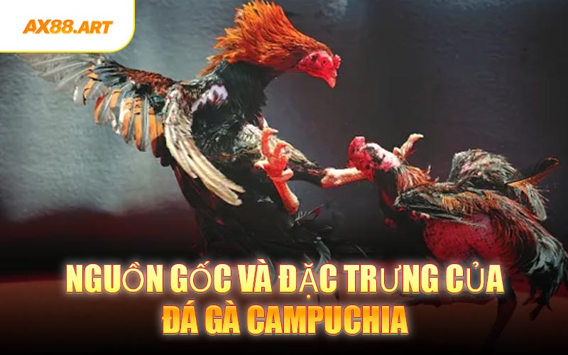 Nguồn Gốc Và Đặc Trưng Của Đá Gà Campuchia