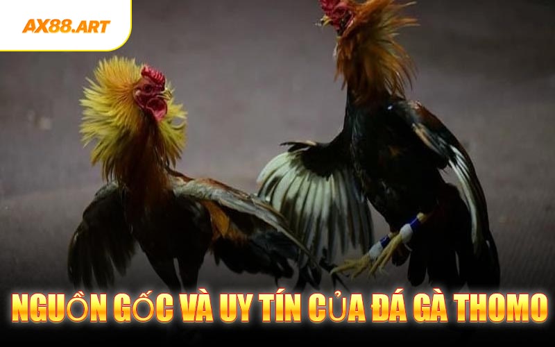 Nguồn Gốc Và Uy Tín Của Đá Gà Thomo